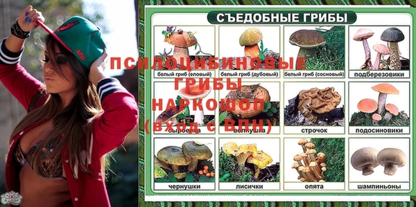 spice Арсеньев