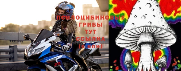 спиды Армянск