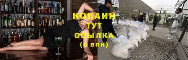 spice Арсеньев